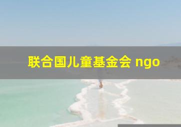 联合国儿童基金会 ngo